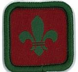 BADGE - ROLE SPECIFIC-SCOUT LEADER