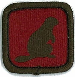 BADGE - ROLE SPECIFIC-BEAVER LEADER
