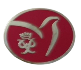 PIN - DUKE of EDINBURGH AWARD