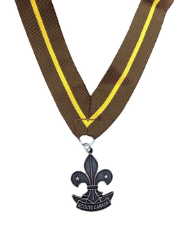 MÉDAILLE - BARRE À LA MÉDAILLE DES BONS SERVICES