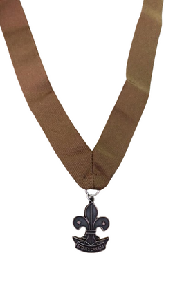 MEDAL - MEDAL FOR GOOD SERVICE