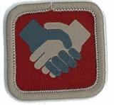 BADGE - ROLE SPECIFIC SERVICE TEAM