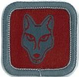 BADGE - ROLE SPECIFIC-CUB LEADER