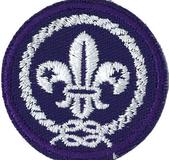 BADGE - WORLD MEMBER CLOTH