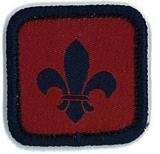 BADGE - ROLE SPECIFIC NON SECTION