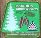 CREST - SCOUTREES 2020