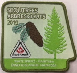 CREST - SCOUTREES 2019