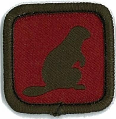 BADGE - ROLE SPECIFIC-BEAVER LEADER