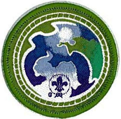 BADGE - SCOUT WSEP ENVIRONMENT GREEN